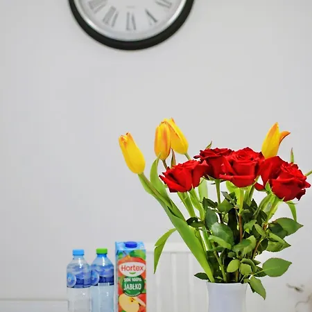 Szmaragdowy Relaks Daire