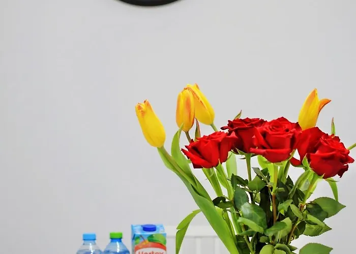 Szmaragdowy Relaks Apartment