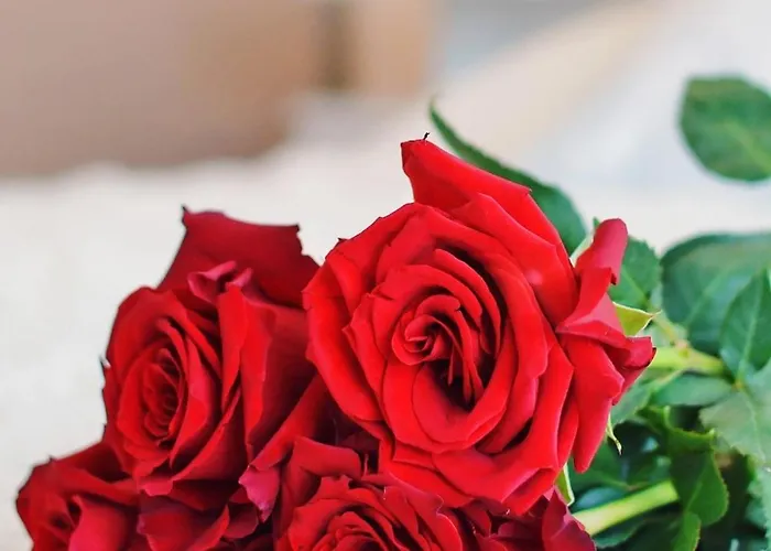 Szmaragdowy Relaks Apartment